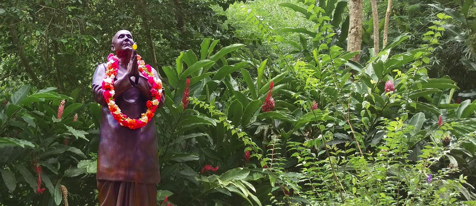 Centro Sri Chinmoy de Puerto Rico: Puerto Rico corrió a toda máquina con el deber que le impartió su corazón espiritual de ofrecerle al mundo el tesoro interno que había descubierto en Sri Chinmoy.